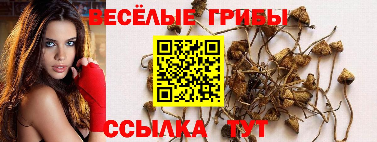 Назарово  где продают   Галлюциногенные грибы Cubensis  Вход с VPN  Галлюциногенные грибы Psilocybine cubensis 