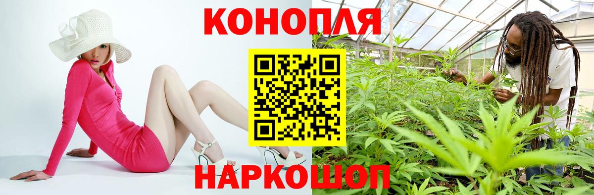 Бошки Шишки гибрид Назарово